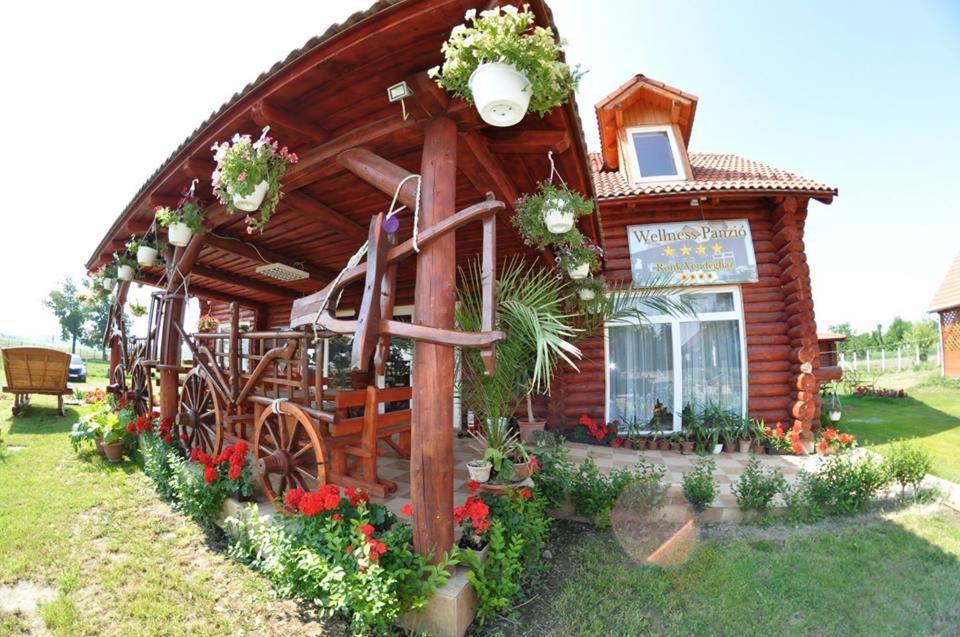Rönk-wellness panzió Mezőpeterd Acomodação com café da manhã Exterior foto