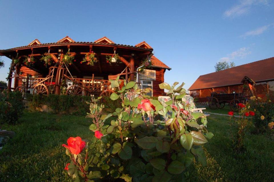 Rönk-wellness panzió Mezőpeterd Acomodação com café da manhã Exterior foto